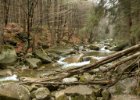 Harrachov - den první  výprava k Mumlavskému vodopádu : voda