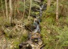 Harrachov - den třetí  výprava k vodopádu Kamenice : voda