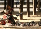 Paříž - léto 2010  ultimátní bezdomovec : bezdomovec, holub, krmení, pták