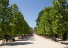 Paříž - květen 2012  Jardin des plantes‎ : alej, architektura, perspektiva
