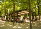 Paříž - květen 2012  Lucemburské zahrady : altánek, architektura, odpočinek, park