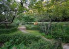 Zahrady Nicole-de-Hauteclocque : Paříž 2021, předmět, zahrada