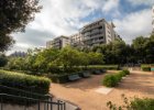 Zahrady Nicole-de-Hauteclocque : Paříž 2021, architektura, předmět, zahrada