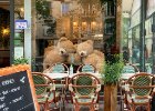 Medvědi - symbol omezených kapacit restaurací během Covidu : Paříž 2021