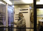 Petrohrad - Etnografické muzeum : Petrohrad a Pobaltí, exponát, výstava