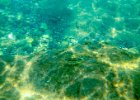 Rhodos 2013  Z potápění v moři. : moře, podvodní, ryba
