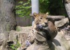 Zoo Jihlava : výlet do Zoo, zoo