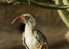 Zoo Ohrada  ve sluníčku se vyhřívala spousta ptáků